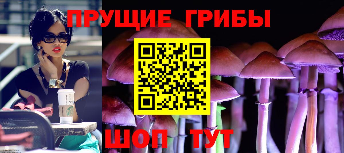 где найти наркотики  Вход с VPN  Заинск  Псилоцибиновые грибы GOLDEN TEACHER 